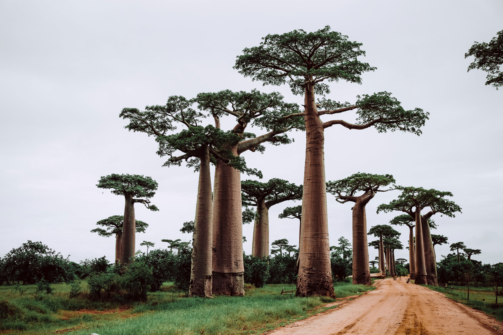 morondava madagascar