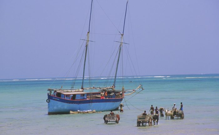 madagascar curiosità