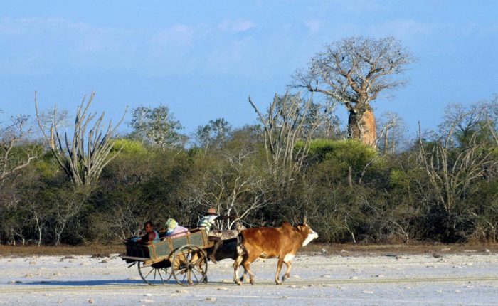 tour nord madagascar