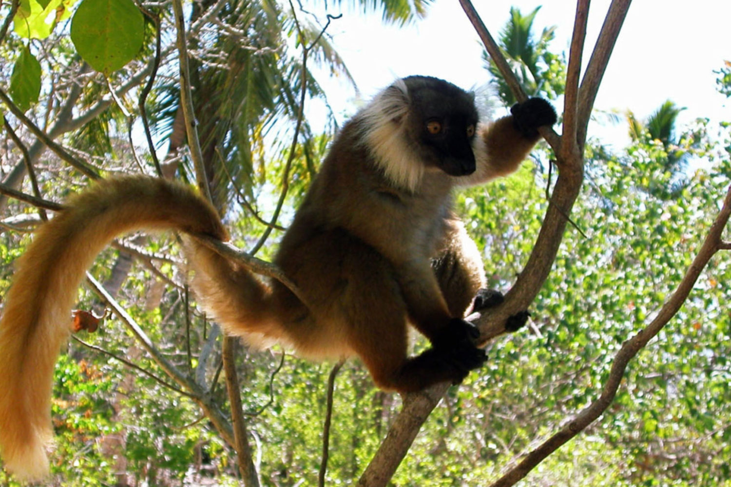 escursioni madagascar