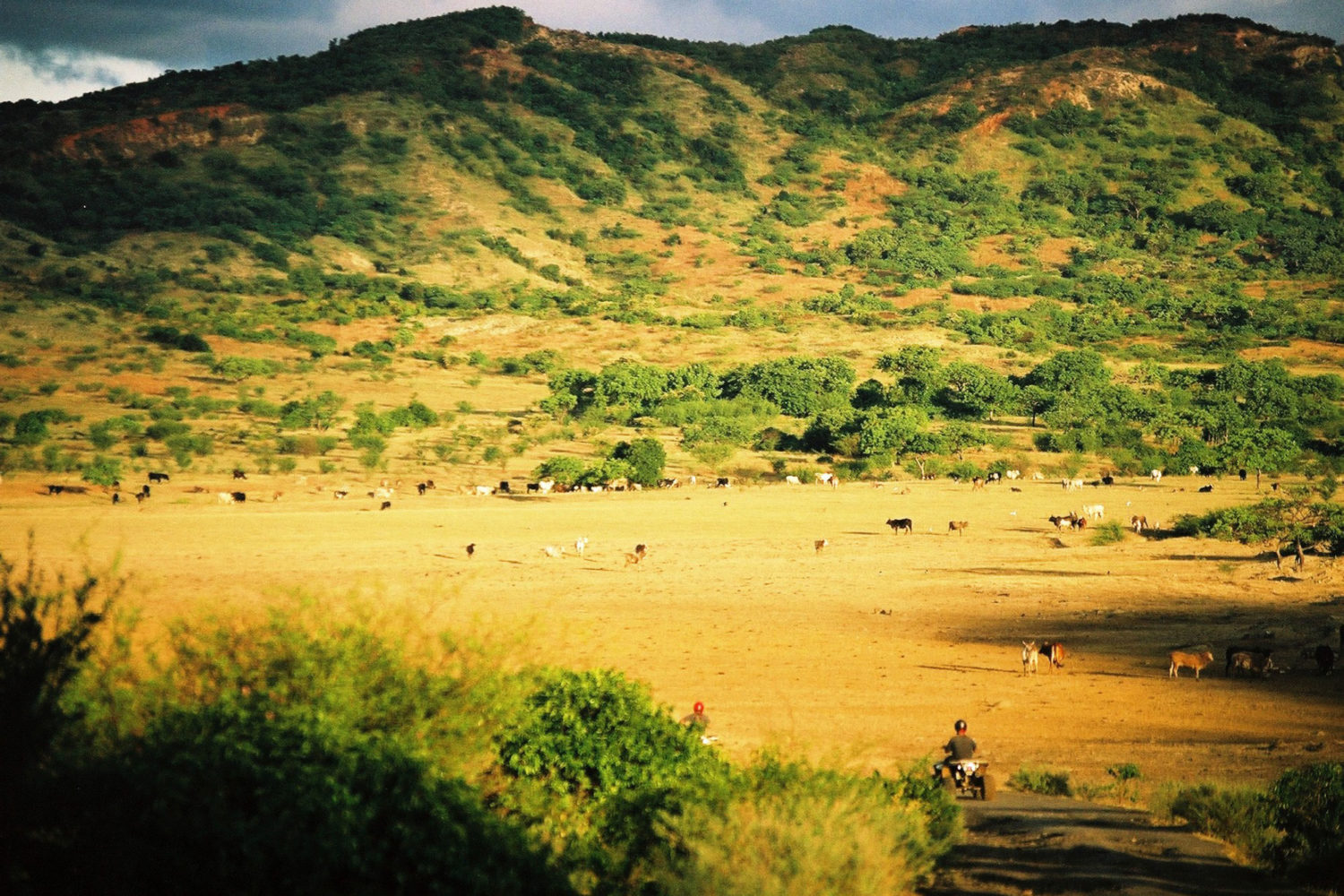 migliori escursioni madagascar