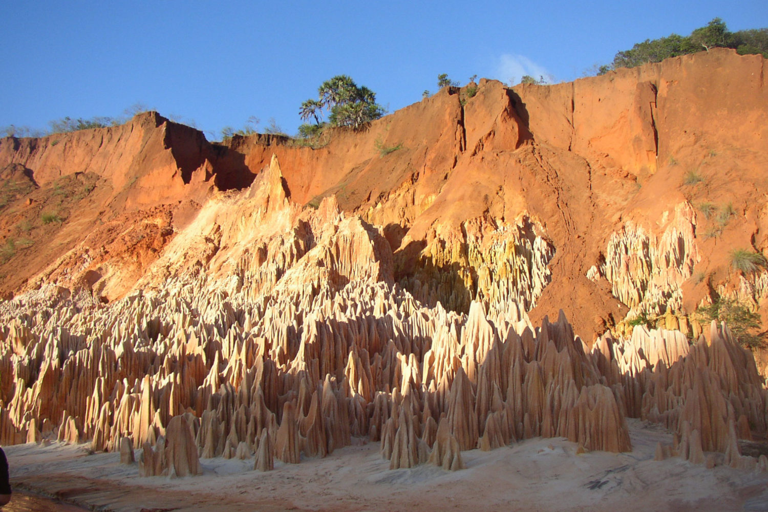 tour madagascar