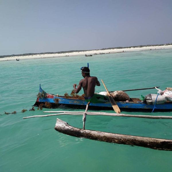 costa occidentale madagascar