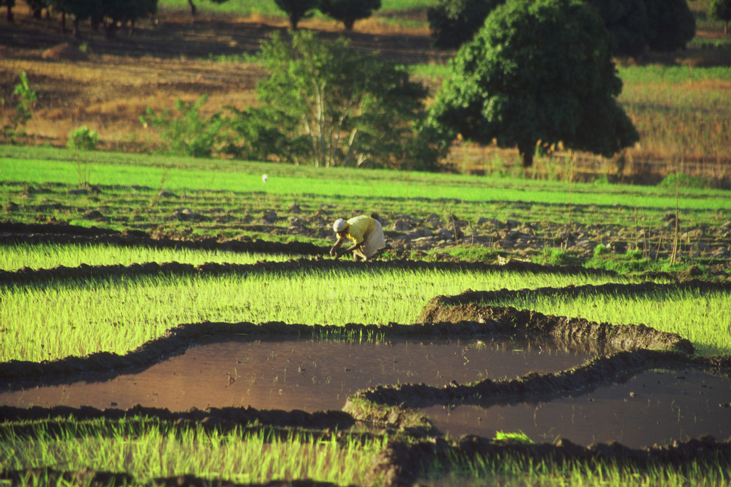 tour del nord madagascar