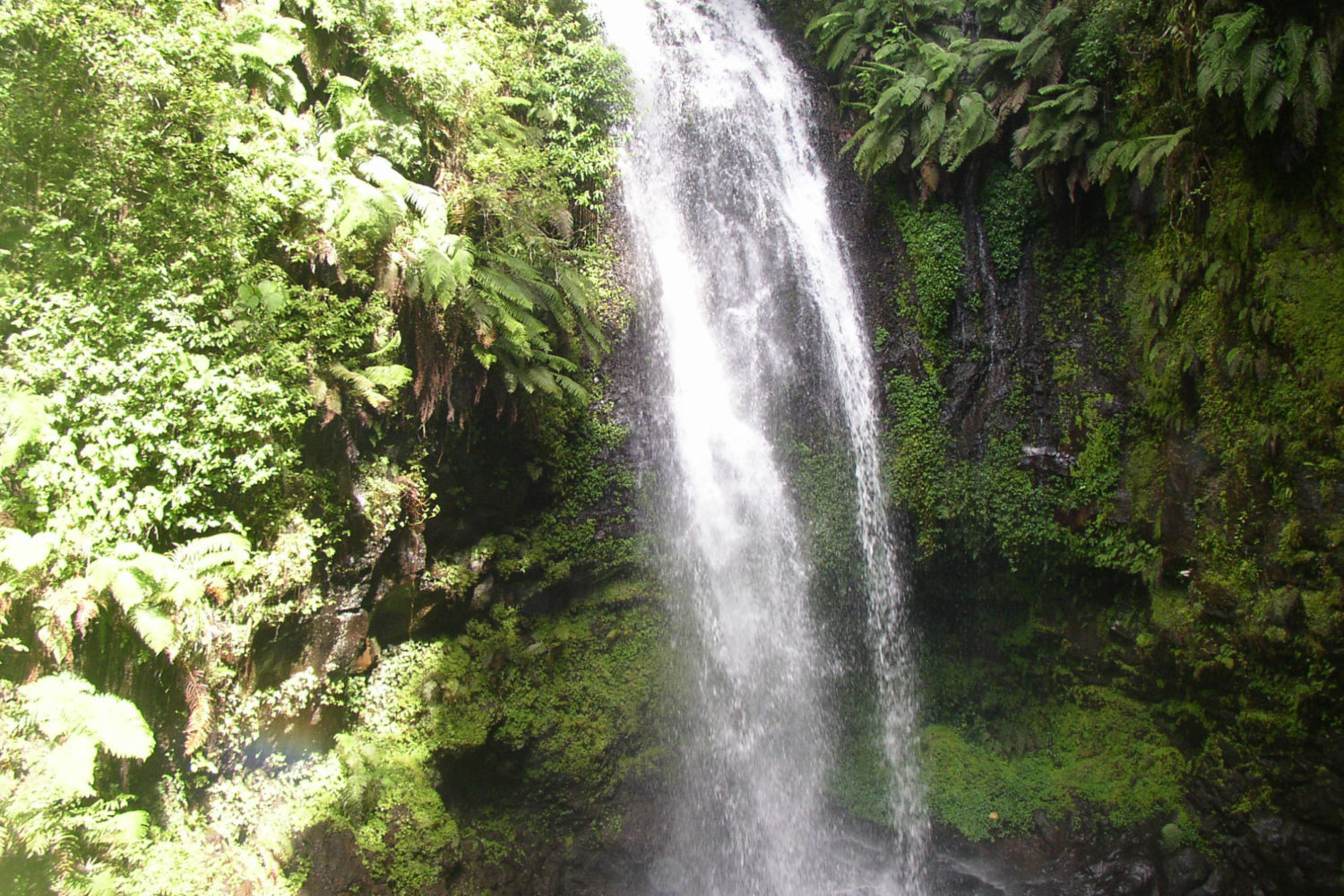 viaggio di nozze madagascar