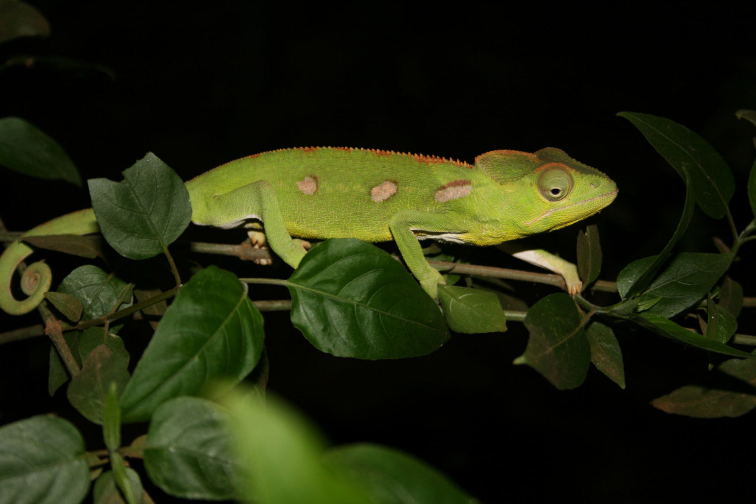 madagascar quando andare