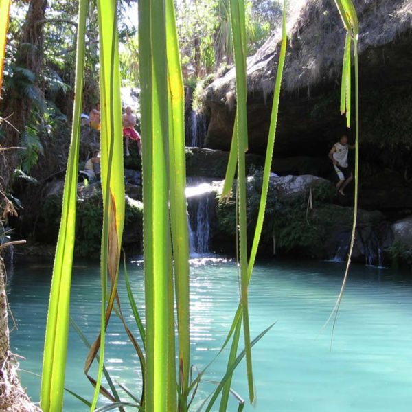 natura madagascar