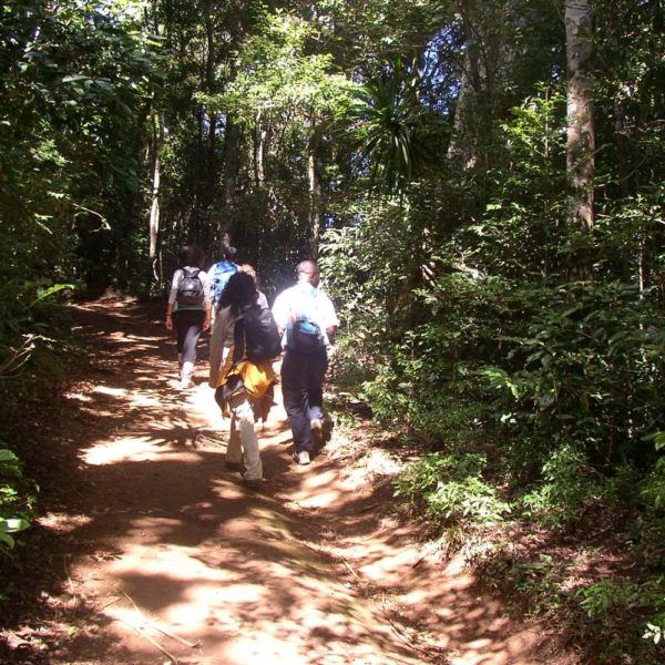 escursione montagne madagascar