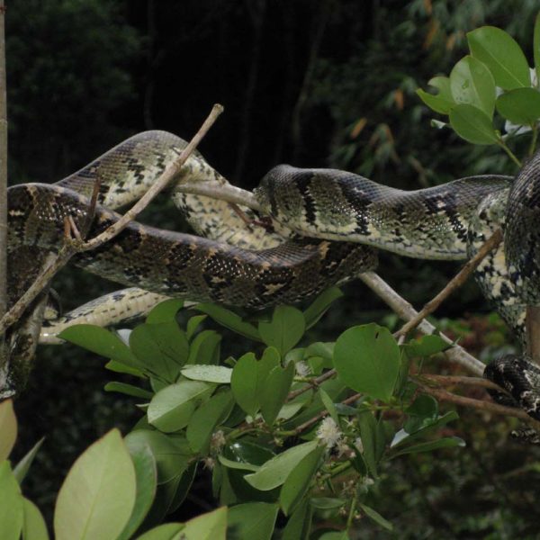 parco madagascar