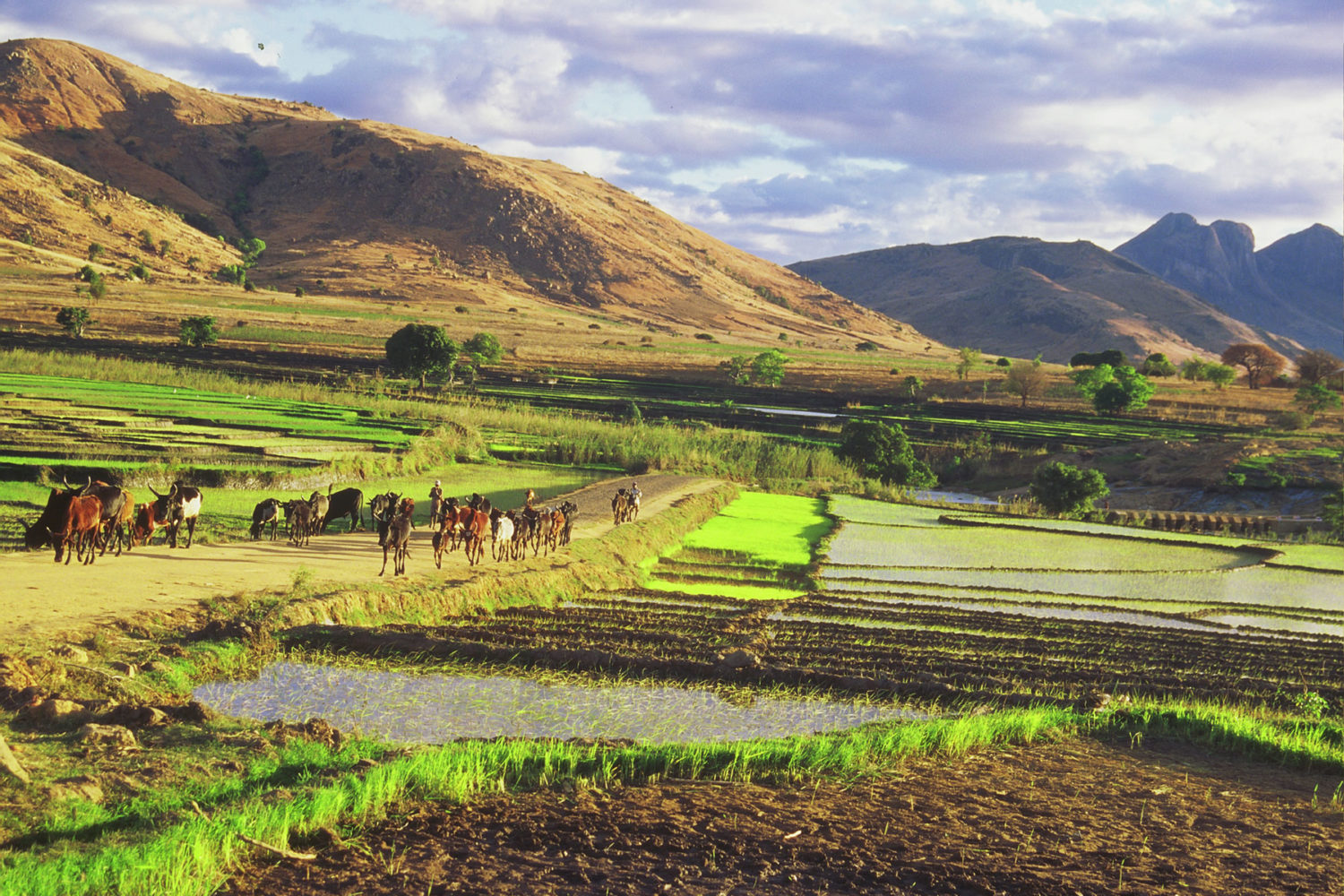 tour madagascar