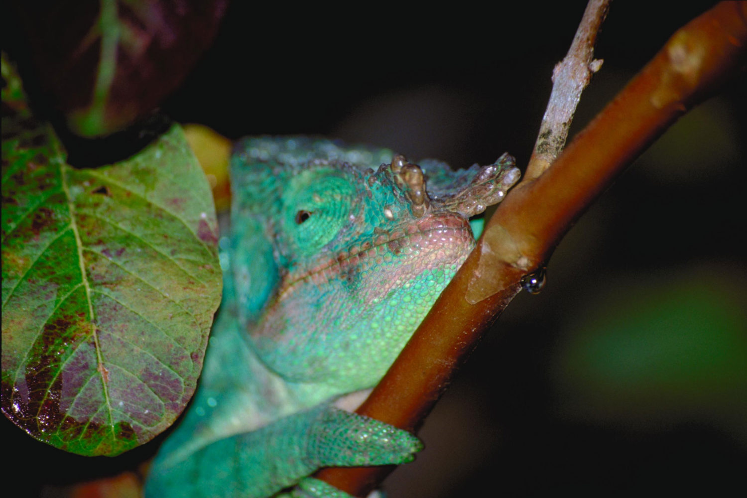 storia madagascar