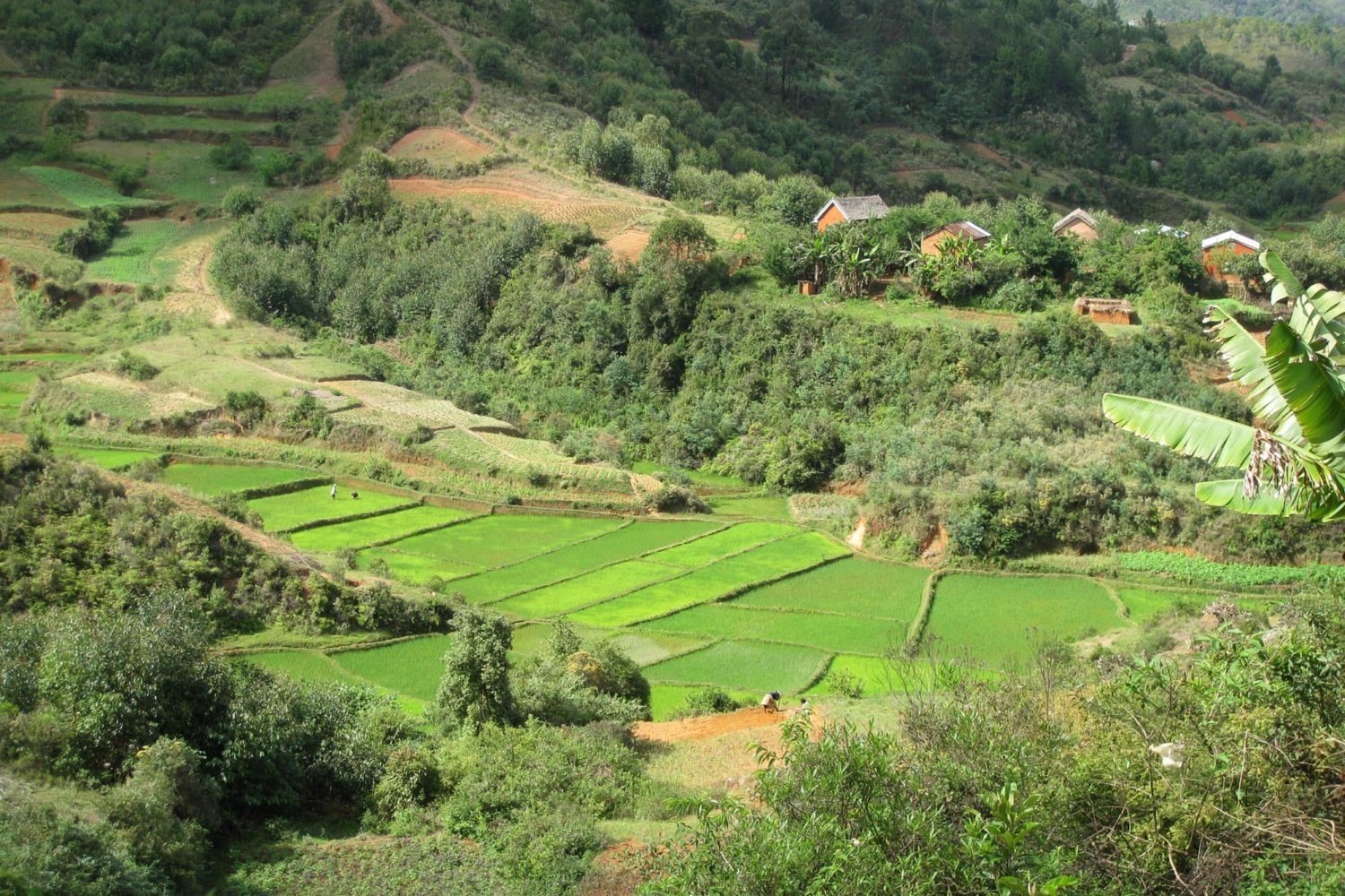 tour madagascar