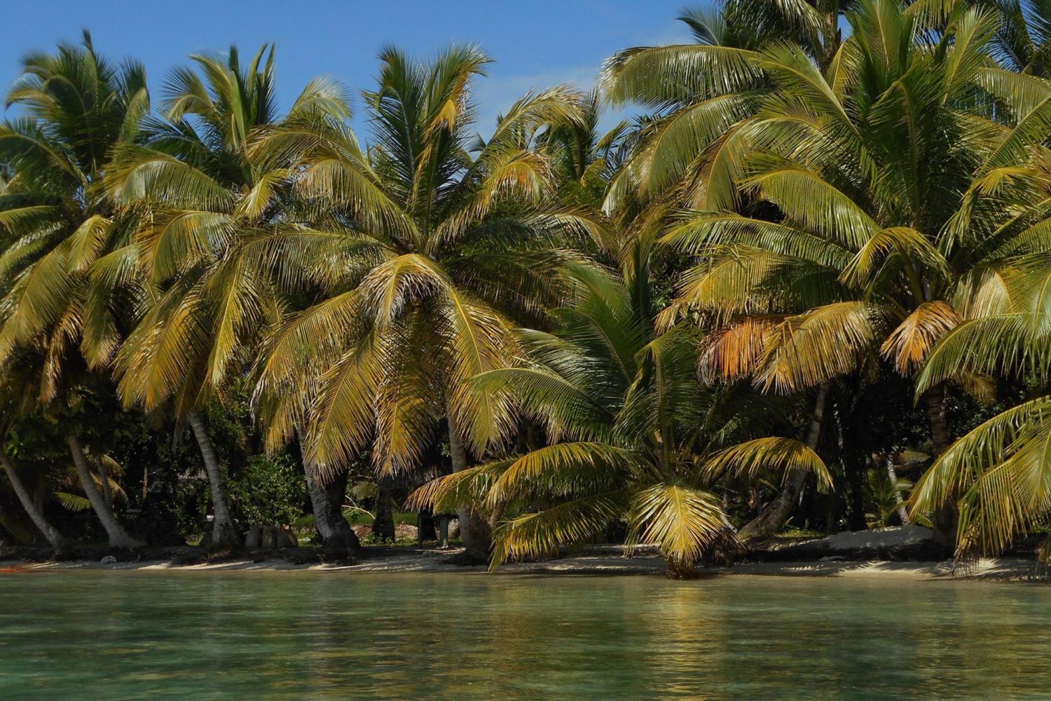 madagascar offerte viaggi