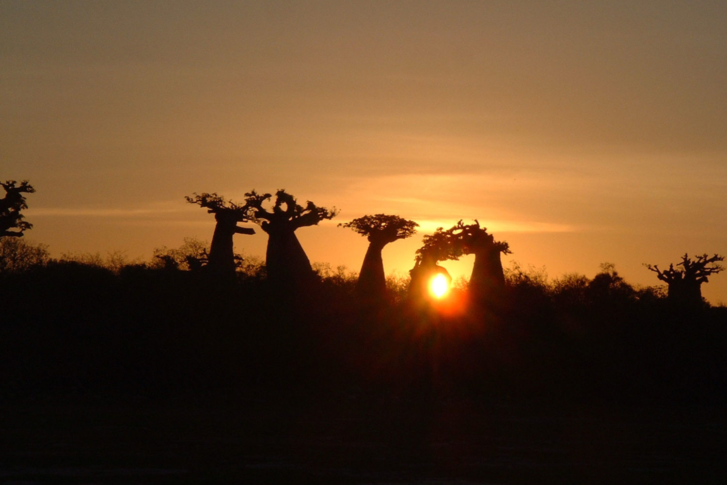 viaggiare madagascar