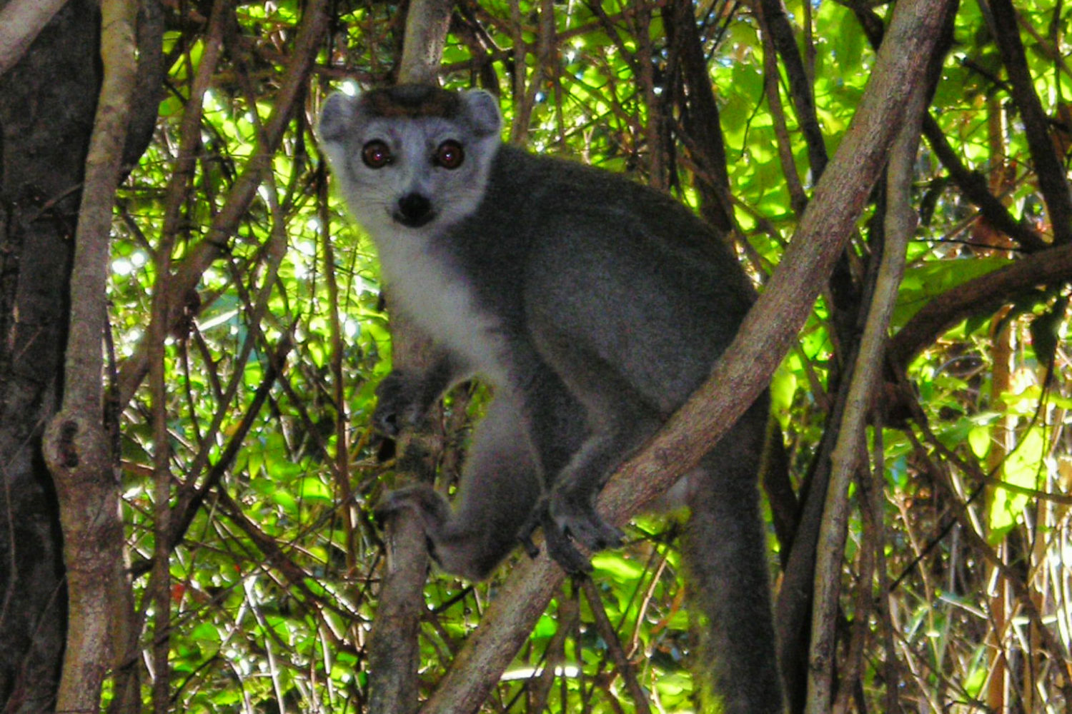 tour madagascar prezzi