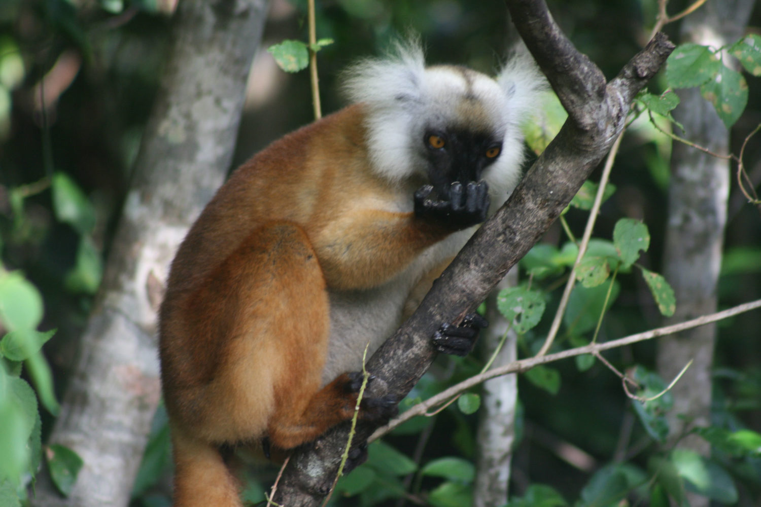 vacanze in madagascar