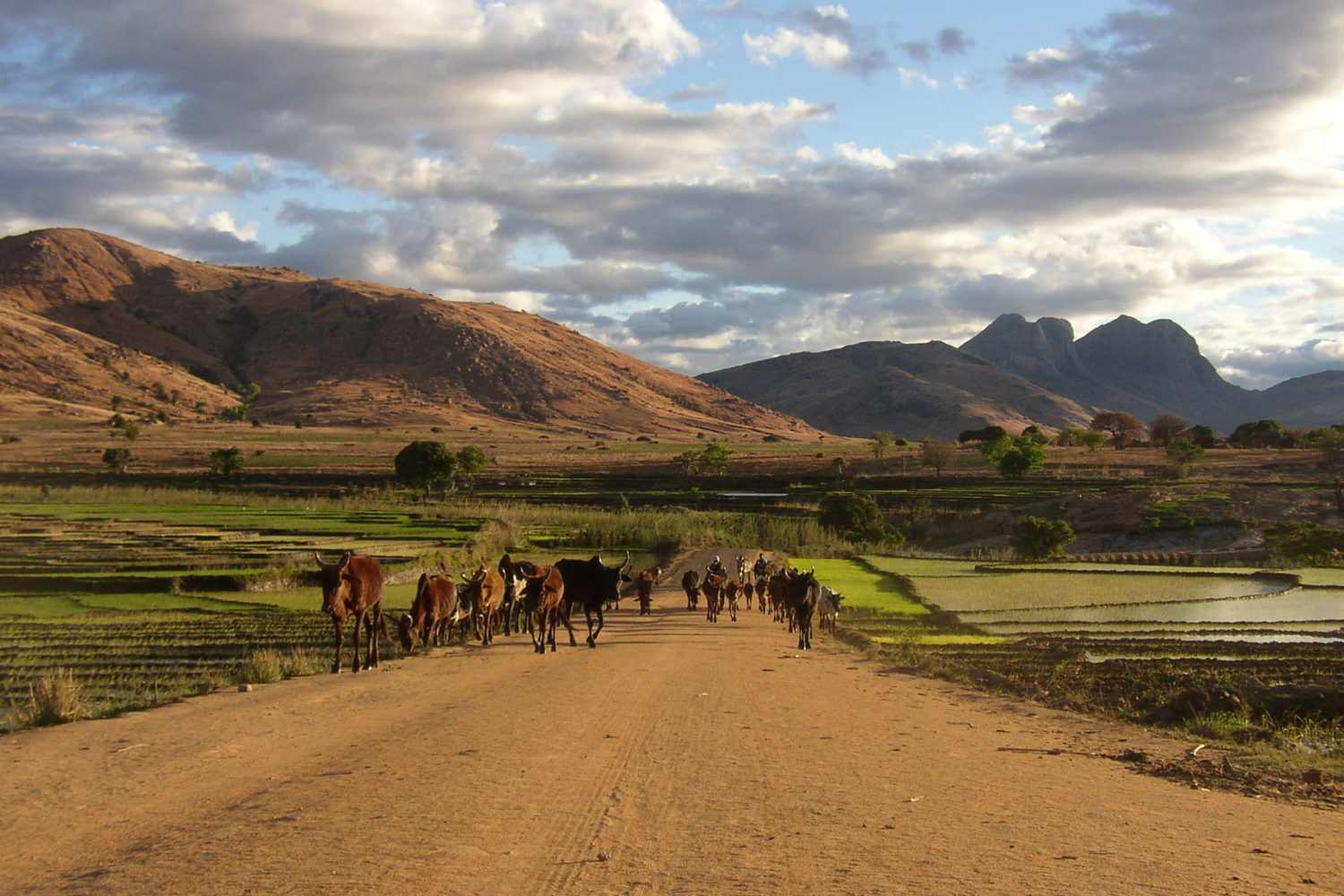 cultura madagascar