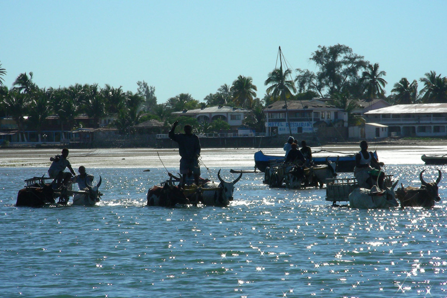 tour operator madagascar