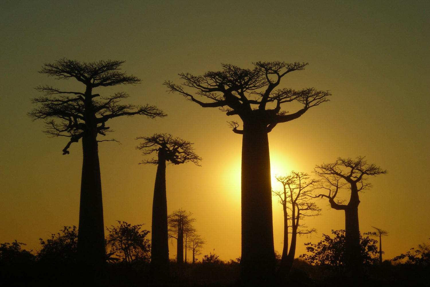 viaggi di nozze madagascar