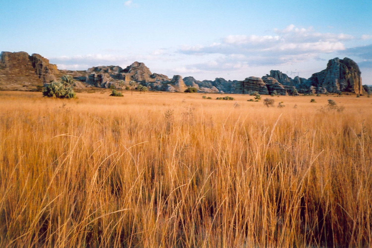 madagascar vacanza