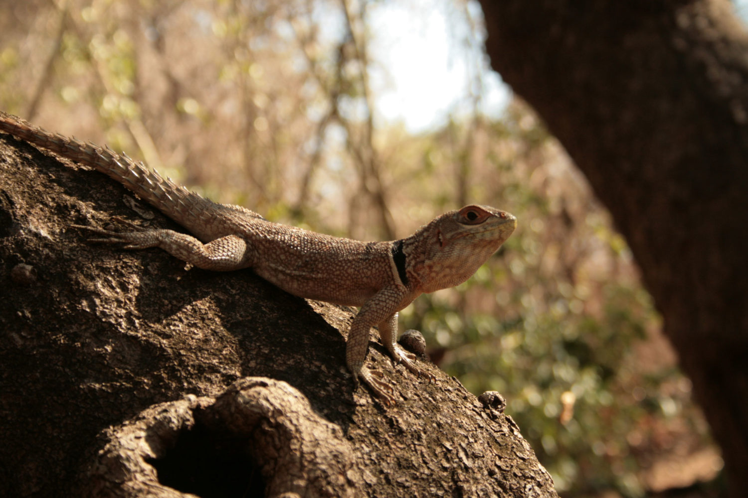 itinerari madagascar