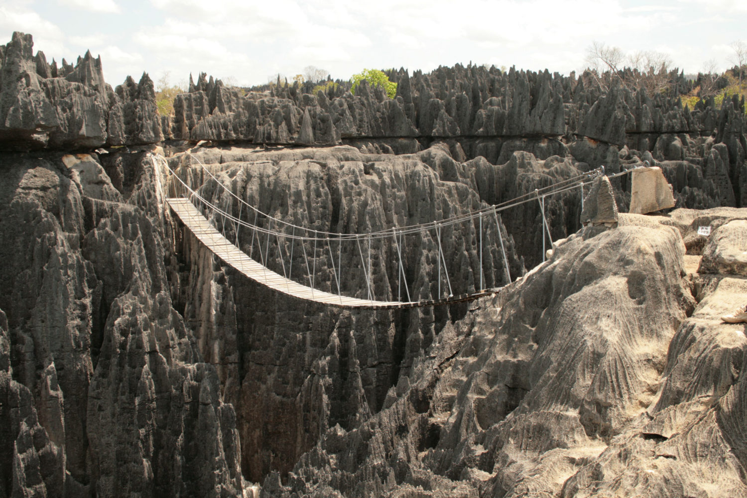 morondava madagascar