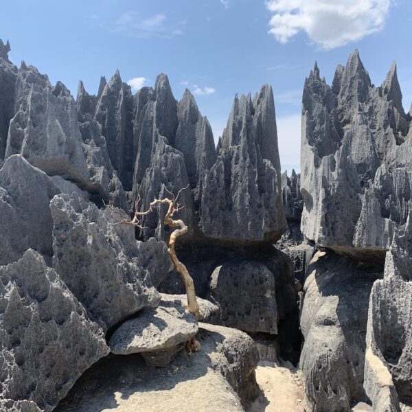 Primo piano degli tsingy pinnacoli rocciosi appuntiti in Madagascar