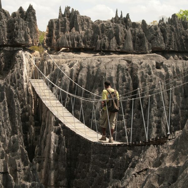 Ponte sospeso nel parco degli tsingy