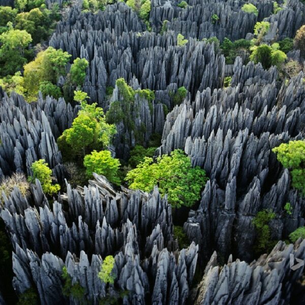 vista aerea del parco degli tsingy di Bemaraha in Madagascar