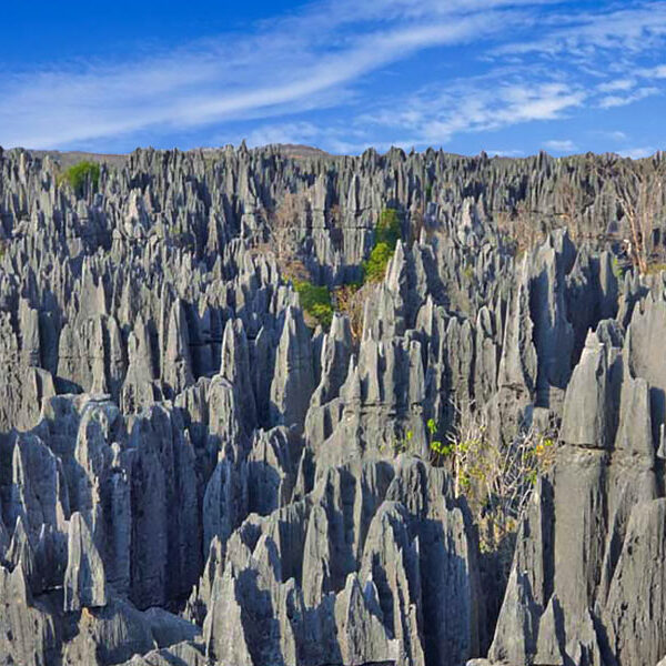 Parco degli Tsingy di Bemaraha