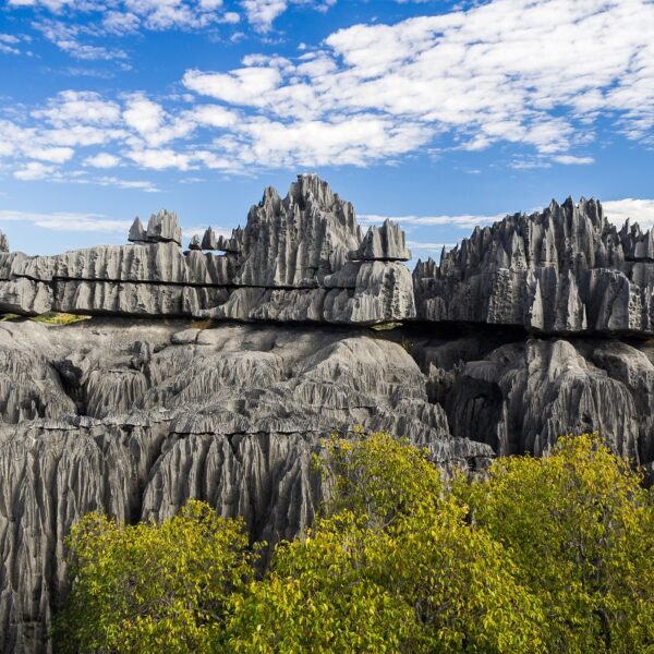 Tsingy la foresta di pietra del Madagascar