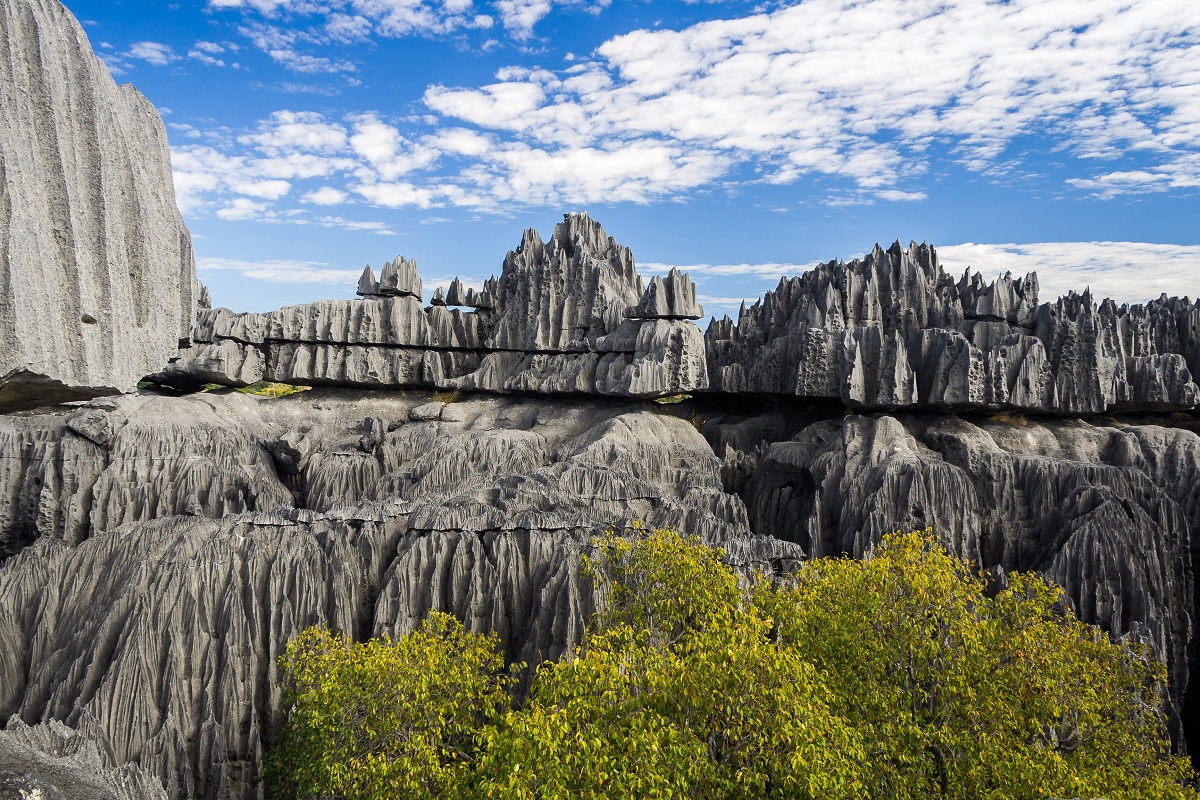 Tsingy la foresta di pietra del Madagascar