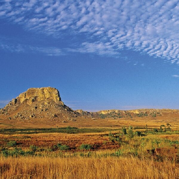 i colori della savana al parco Isalo in Madagascar