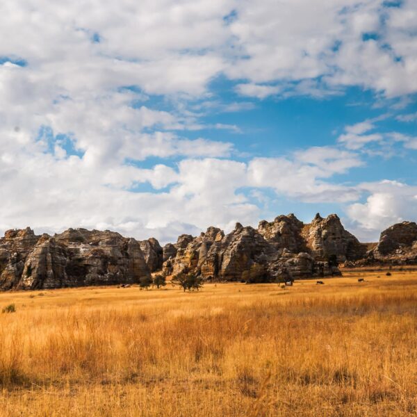 savana nel parco nazionale dell'isalo in madagascar