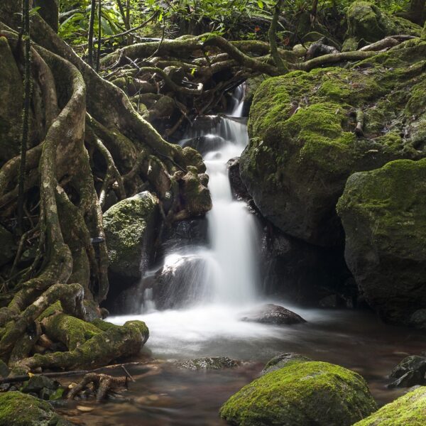 parco masoala madagascar cascate