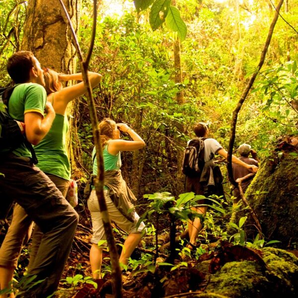 parco nazionale masola trekking madagascar