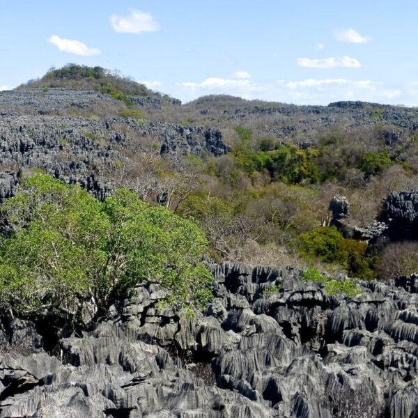 Madagascar. Riserva speciale de l'Ankarana, si visita nel programma Le Baobab di Wadi Destination