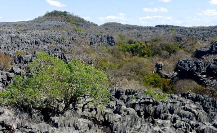 Madagascar. Riserva speciale de l'Ankarana, si visita nel programma Le Baobab di Wadi Destination