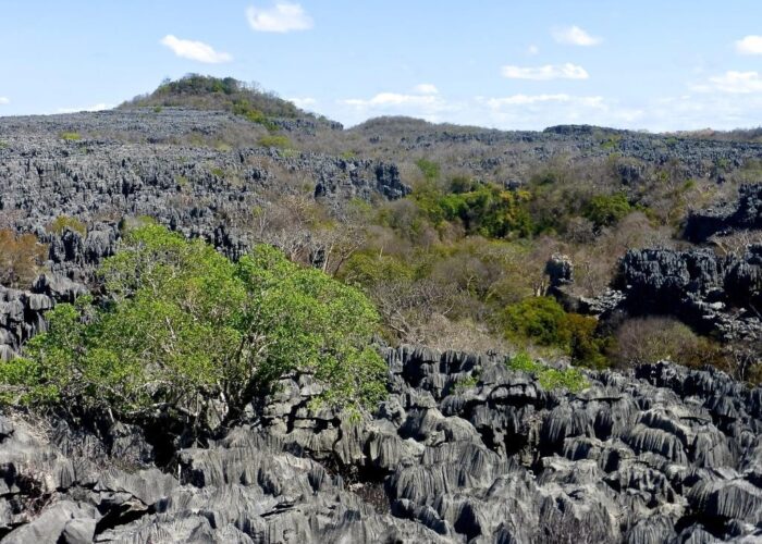 Madagascar. Riserva speciale de l'Ankarana, si visita nel programma Le Baobab di Wadi Destination