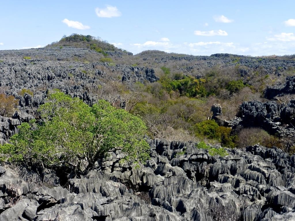 Madagascar. Riserva speciale de l'Ankarana, si visita nel programma Le Baobab di Wadi Destination