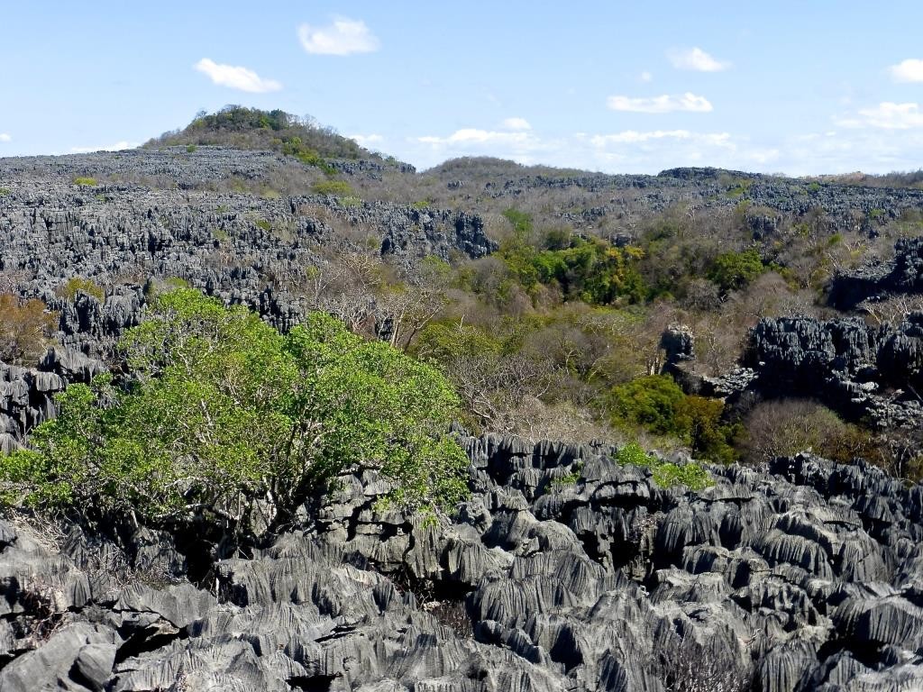 Madagascar. Riserva speciale de l'Ankarana, si visita nel programma Le Baobab di Wadi Destination